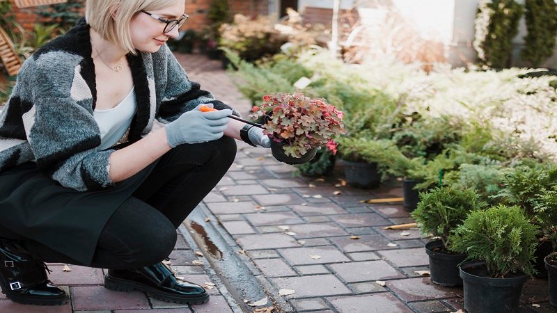 DecadGarden Yard Tips by DecoratorAdvice